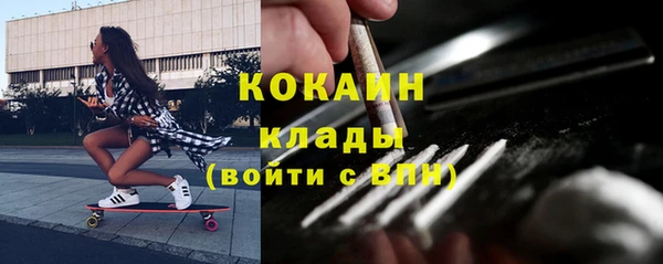 стаф Алзамай
