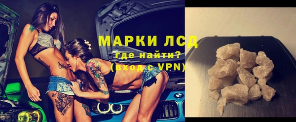 стаф Алзамай