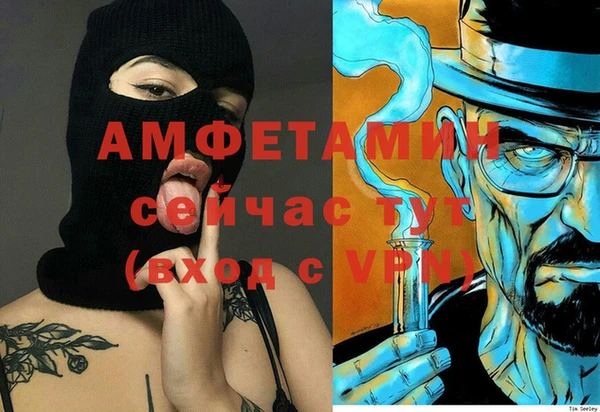 стаф Алзамай